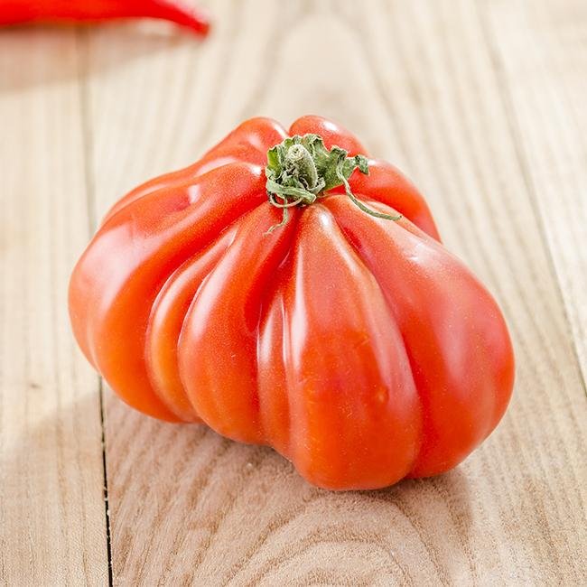 Costoluto Genovese Tomato Seeds - The Pepper Pantry (Formerly Marie Sharp's)