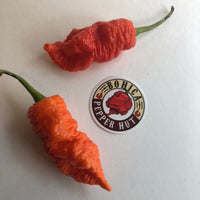 Death Spiral - Seeds - The Pepper Pantry (Formerly Marie Sharp's)