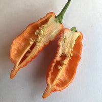 Death Spiral - Seeds - The Pepper Pantry (Formerly Marie Sharp's)