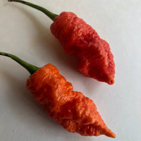 Death Spiral - Seeds - The Pepper Pantry (Formerly Marie Sharp's)