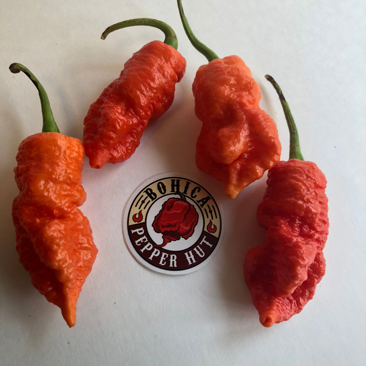 Death Spiral - Seeds - The Pepper Pantry (Formerly Marie Sharp's)