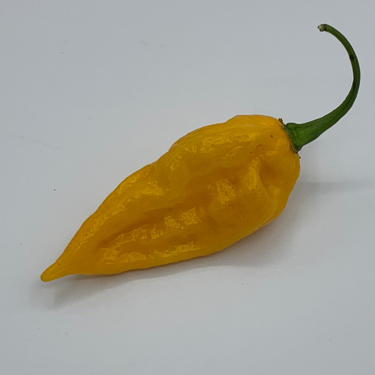 Fatalii - Seeds - The Pepper Pantry (Formerly Marie Sharp's)