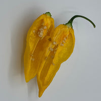 Fatalii - Seeds - The Pepper Pantry (Formerly Marie Sharp's)
