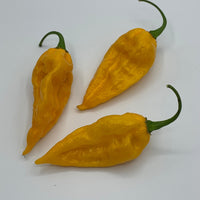 Fatalii - Seeds - The Pepper Pantry (Formerly Marie Sharp's)