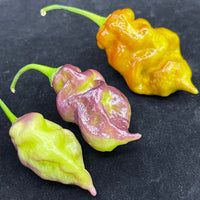 Flaming Nougat - Seeds - The Pepper Pantry (Formerly Marie Sharp's)