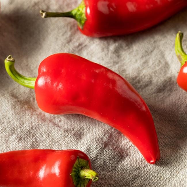 Fresno Pepper Seeds - The Pepper Pantry (Formerly Marie Sharp's)