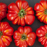 German Johnson Tomato Seeds - The Pepper Pantry (Formerly Marie Sharp's)