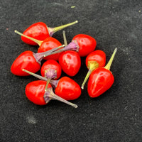 Girlyanda - Seeds - The Pepper Pantry (Formerly Marie Sharp's)