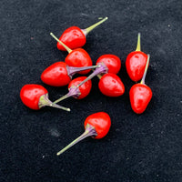 Girlyanda - Seeds - The Pepper Pantry (Formerly Marie Sharp's)