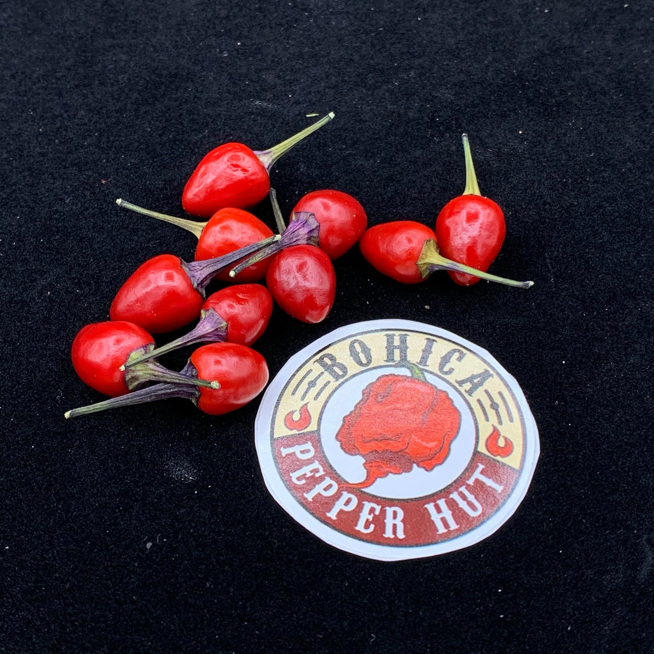 Girlyanda - Seeds - The Pepper Pantry (Formerly Marie Sharp's)