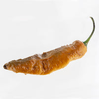 Gold Ghost Pepper Seeds - The Pepper Pantry (Formerly Marie Sharp's)