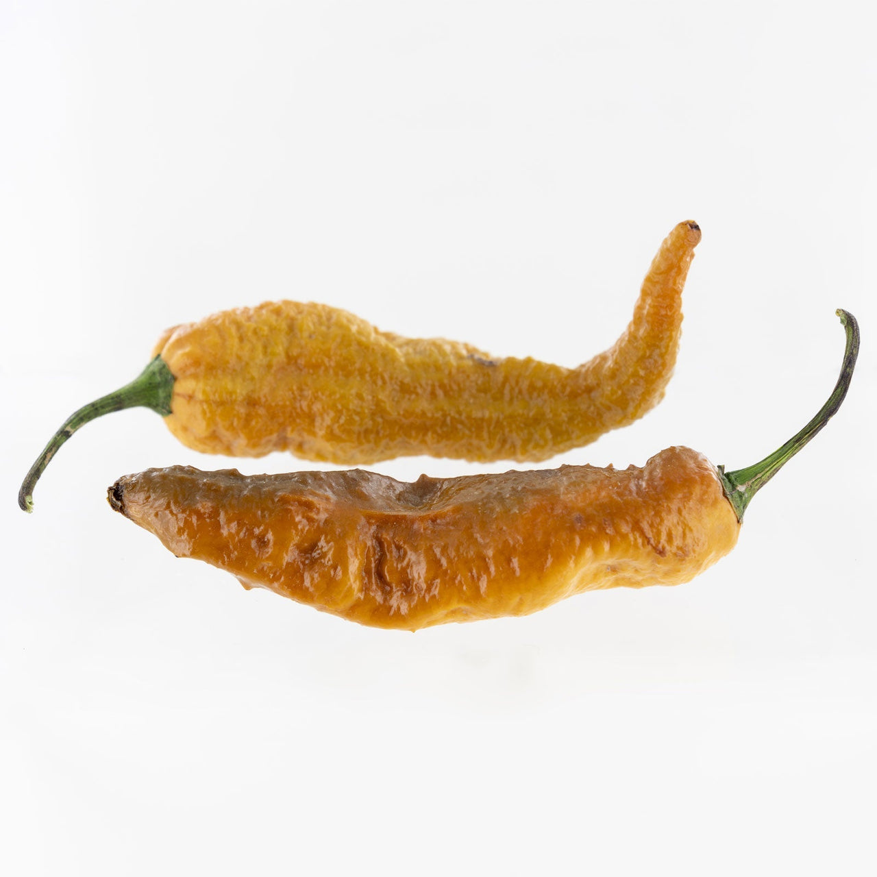 Gold Ghost Pepper Seeds - The Pepper Pantry (Formerly Marie Sharp's)
