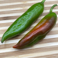 Hatch Red X Hot - Ms. Junie Chile - Seeds - The Pepper Pantry (Formerly Marie Sharp's)