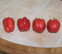 100 PIMENTO PEPPER (Red Sweet Pimientio / Italianelle / Cheese, Roasting, Frying Pepper) Capsicum Annuum Seeds