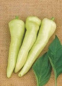 250 SWEET BANANA PEPPER Hungarian Capsicum Annuum Vegetable Seeds