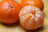 20 TANGERINE Mandrin Orange Citrus Reticulata Fruit Tree Seeds