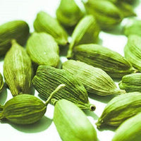 5 CARDAMON CARDAMOM Elettaria Cardamomum HERB Flower Shrub Tree Seeds