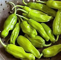 50 GREEK GOLDEN PEPPER Pepperoncini Gold Yellow Capsicum Annuum Vegetable Seeds