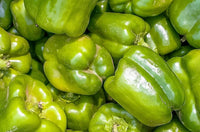 200 BIG GREEN Bell PEPPER Sweet Capsicum Annuum Vegetable Seeds