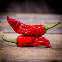 Italian Pepperoncini Seeds - The Pepper Pantry (Formerly Marie Sharp's)