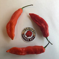 Jalapeno Ghostly - Seeds - The Pepper Pantry (Formerly Marie Sharp's)