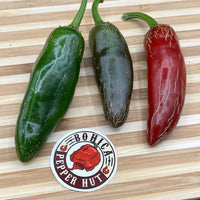 Jalapeño TAM - Seeds - The Pepper Pantry (Formerly Marie Sharp's)