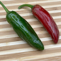 Jalapeño TAM - Seeds - The Pepper Pantry (Formerly Marie Sharp's)