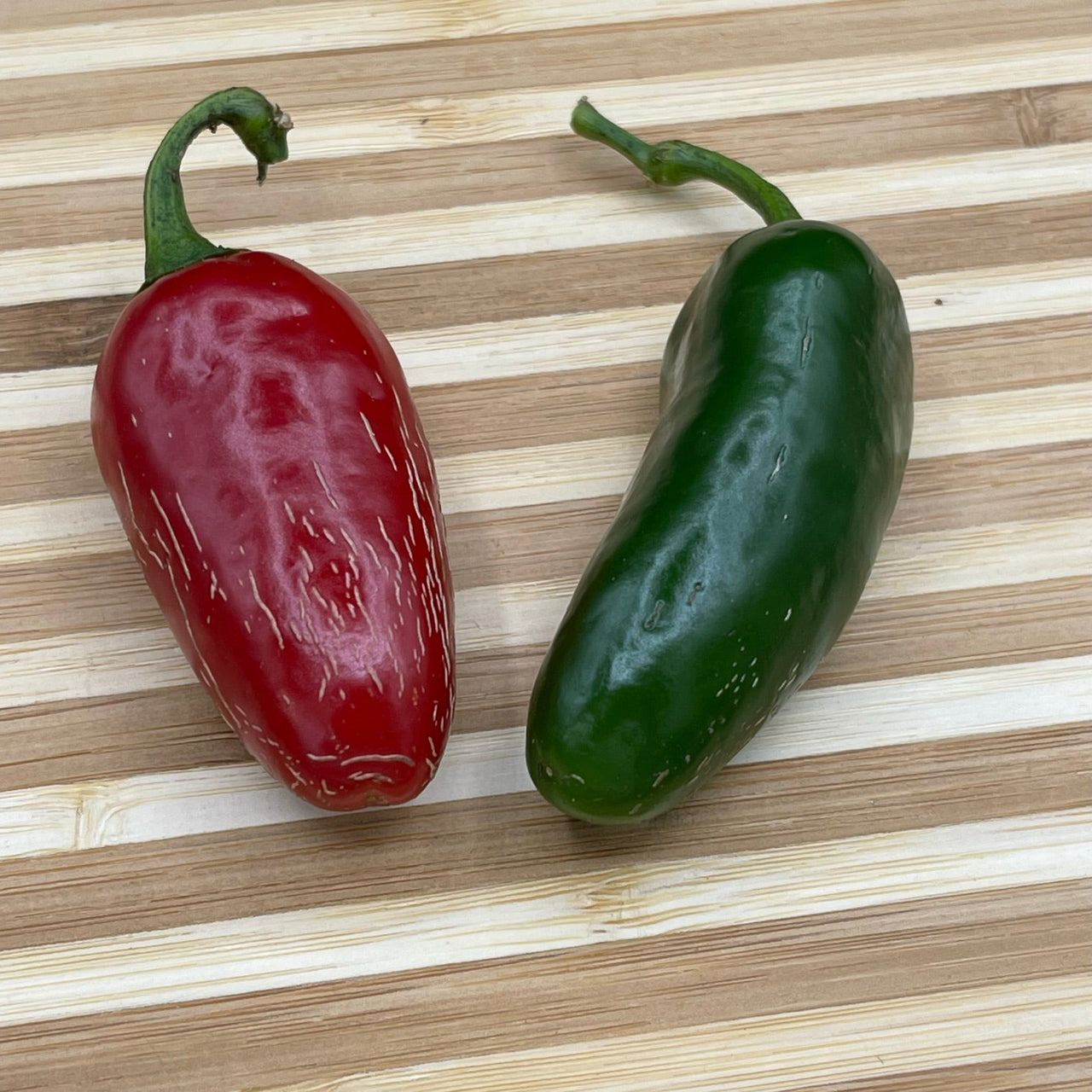 Jalapeno Zapotec - Seeds - The Pepper Pantry (Formerly Marie Sharp's)