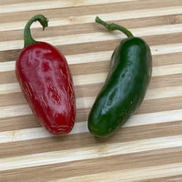 Jalapeno Zapotec - Seeds - The Pepper Pantry (Formerly Marie Sharp's)