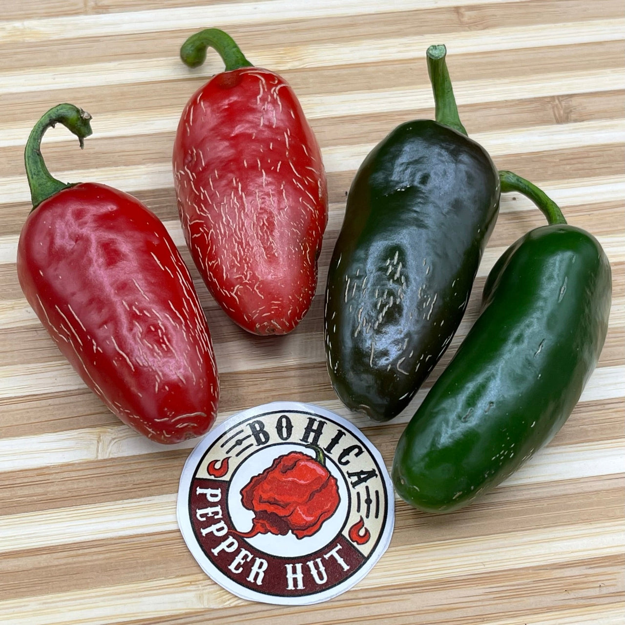 Jalapeno Zapotec - Seeds - The Pepper Pantry (Formerly Marie Sharp's)
