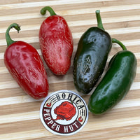 Jalapeno Zapotec - Seeds - The Pepper Pantry (Formerly Marie Sharp's)