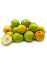 Jujube Tree Grafted
