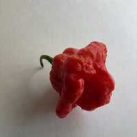 MA Wartryx - Seeds - The Pepper Pantry (Formerly Marie Sharp's)