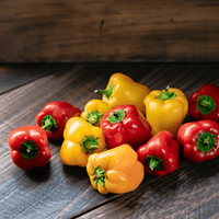 Mini Bell Pepper Seed Variety Mix - The Pepper Pantry (Formerly Marie Sharp's)