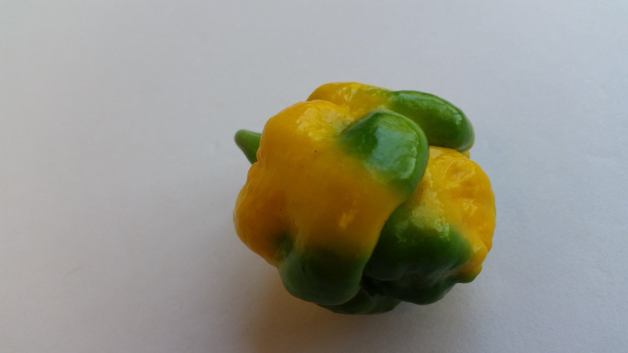 Moruga Scorpion Yellow - Seeds - The Pepper Pantry (Formerly Marie Sharp's)