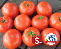 Mountain Merit™ Hybrid Tomato Seeds