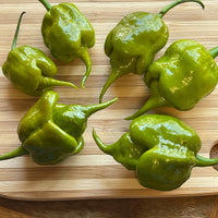 Mustard Carolina Reaper - Seeds - The Pepper Pantry (Formerly Marie Sharp's)