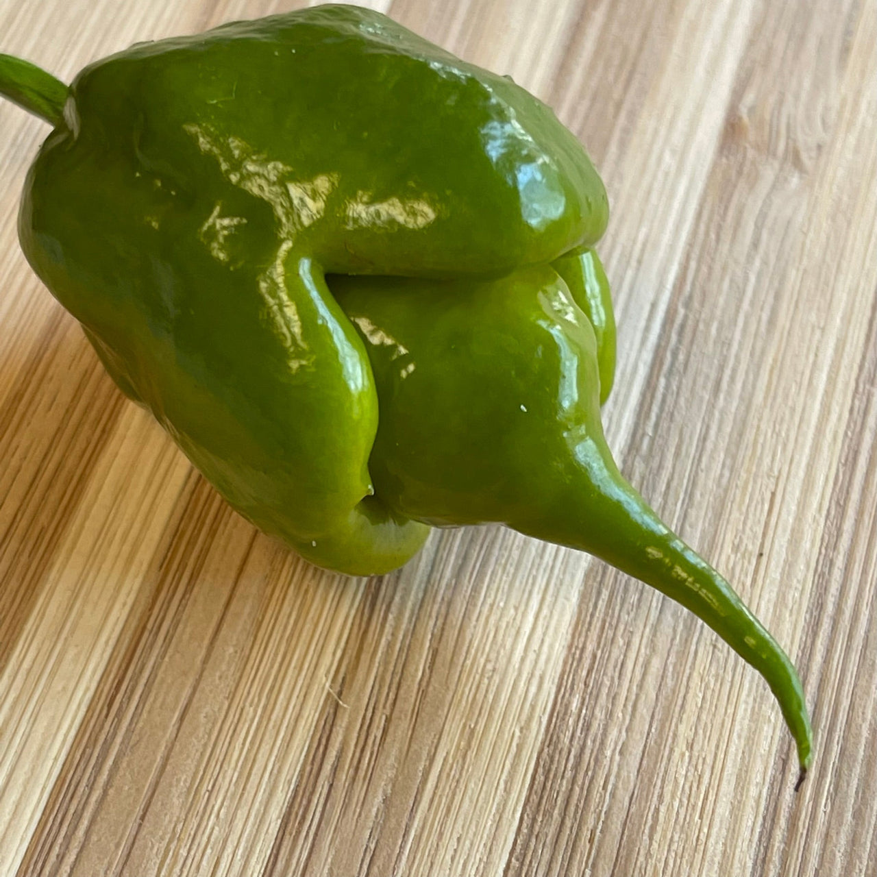 Mustard Carolina Reaper - Seeds - The Pepper Pantry (Formerly Marie Sharp's)
