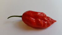 Naga Morich - Seeds - The Pepper Pantry (Formerly Marie Sharp's)