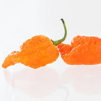 Peach Mutant X Pepper Seeds - The Pepper Pantry (Formerly Marie Sharp's)