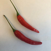 Pequin - Seeds - The Pepper Pantry (Formerly Marie Sharp's)