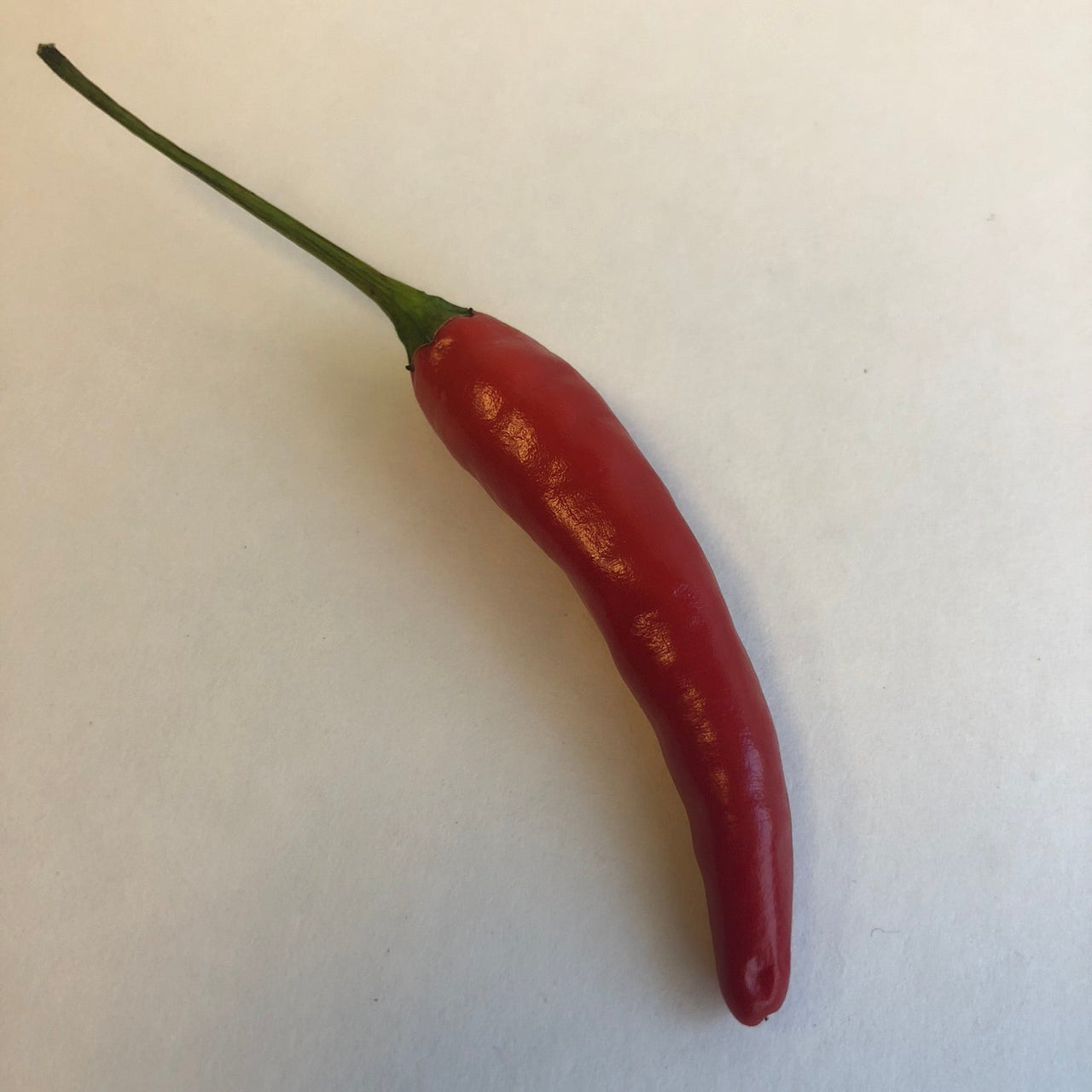 Pequin - Seeds - The Pepper Pantry (Formerly Marie Sharp's)