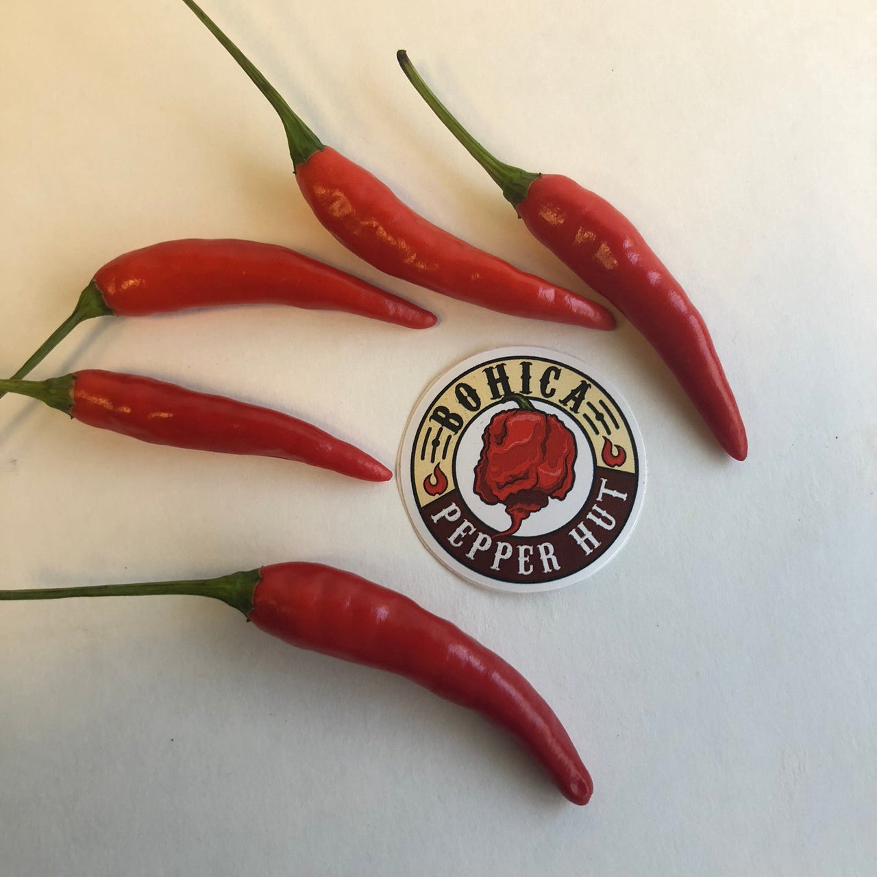Pequin - Seeds - The Pepper Pantry (Formerly Marie Sharp's)