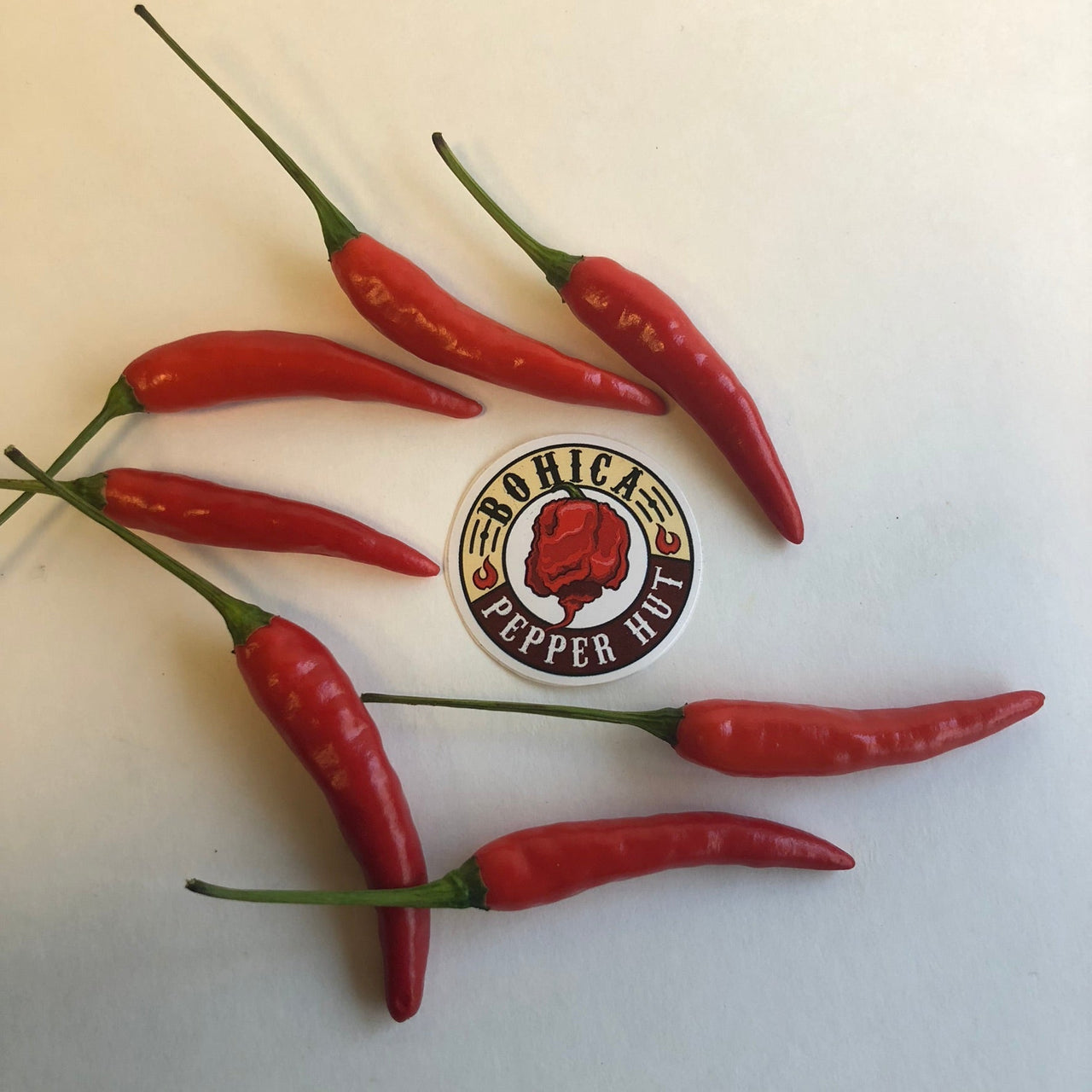 Pequin - Seeds - The Pepper Pantry (Formerly Marie Sharp's)