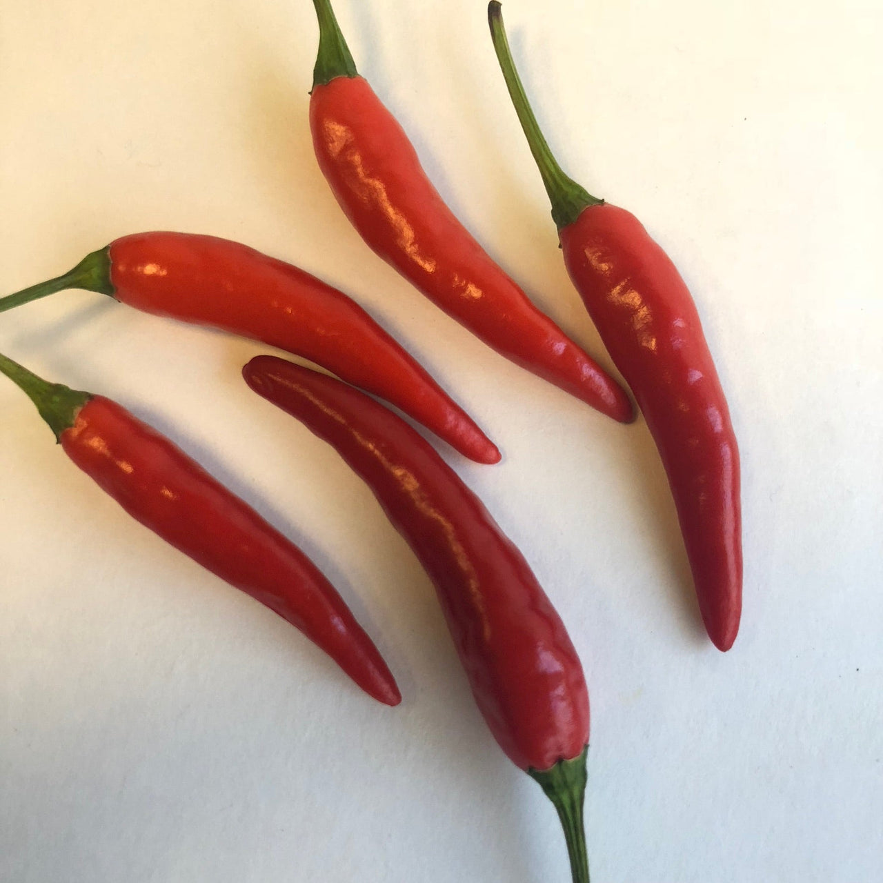 Pequin - Seeds - The Pepper Pantry (Formerly Marie Sharp's)