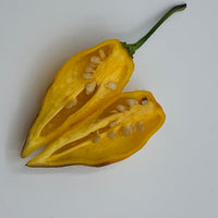 Pimenta Black Bhut - Seeds - The Pepper Pantry (Formerly Marie Sharp's)