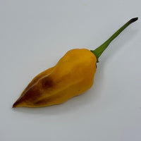 Pimenta Black Bhut - Seeds - The Pepper Pantry (Formerly Marie Sharp's)