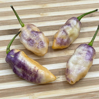 Pimenta Jolokia Fire/Ice - Seeds - The Pepper Pantry (Formerly Marie Sharp's)