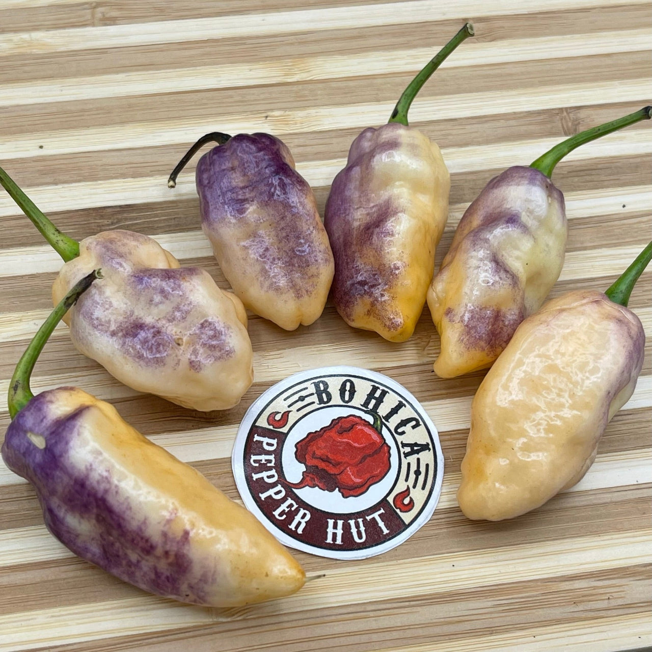 Pimenta Jolokia Fire/Ice - Seeds - The Pepper Pantry (Formerly Marie Sharp's)