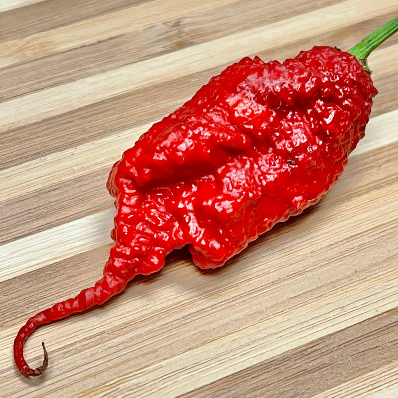 Primotalii - Seeds - The Pepper Pantry (Formerly Marie Sharp's)